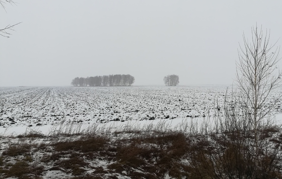Алексей Петров/ТАСС