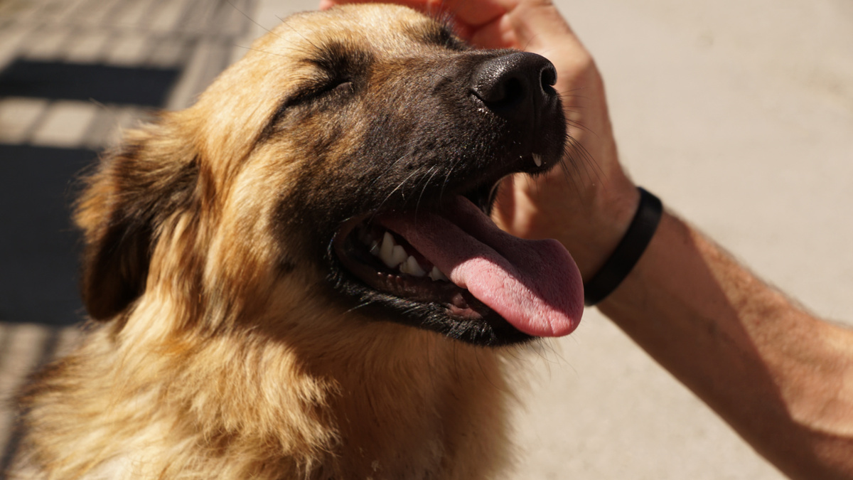 Точного рецепта решения проблем не существует: нужно понимать, что каждая ситуация уникальна. Фото photosforyou/Pixabay