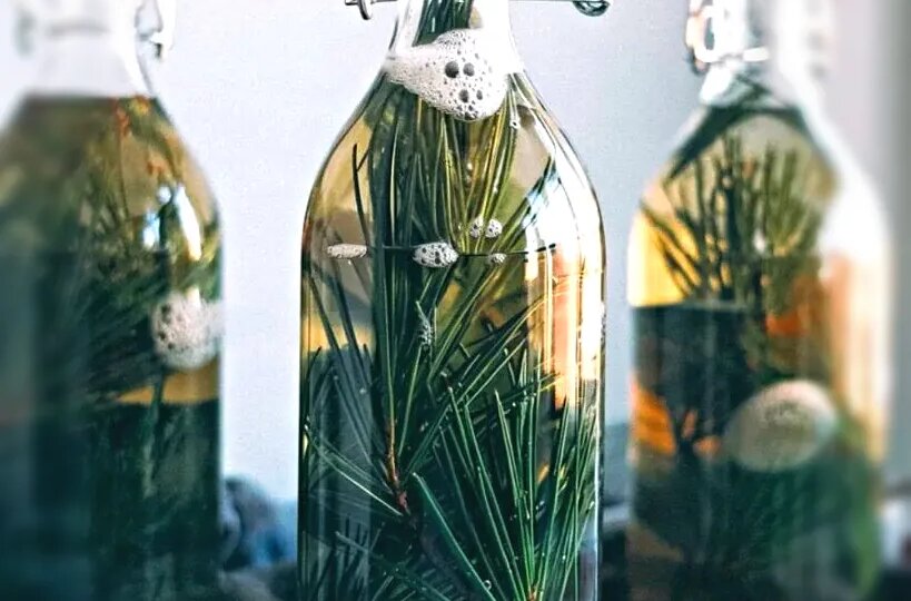 Спрайт из еловых иголок - мой секретный ингредиент для домашнего напитка