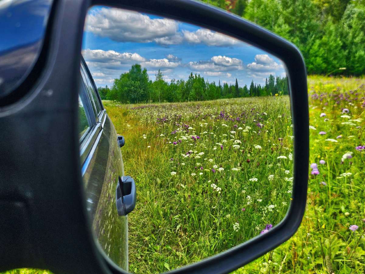 спохватившись, она улыбнулась и пригласила в дом