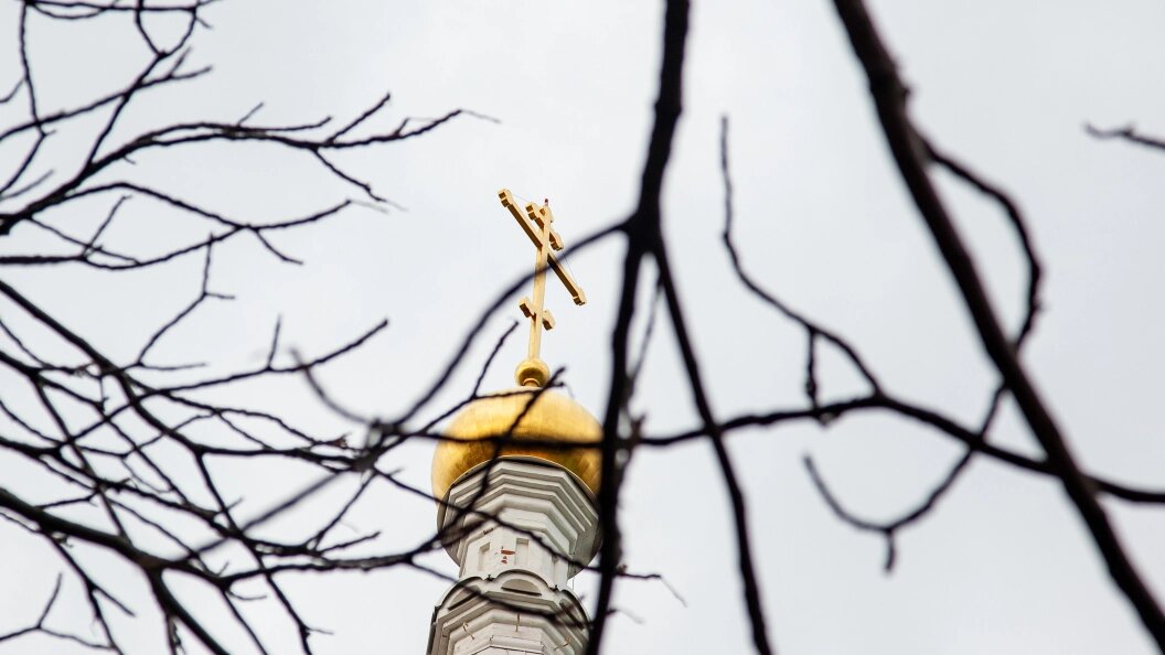    Фото: Oksana Korol/Globallookpress