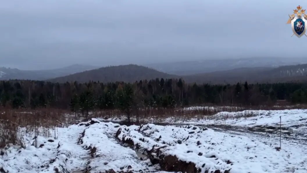    фото: скриншот видео t.me/krksledkom