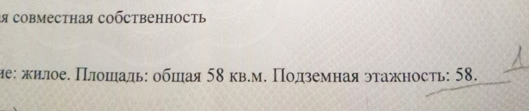 Фото: скриншот комментариев в Дзен-канале «КП-Северный Кавказ»