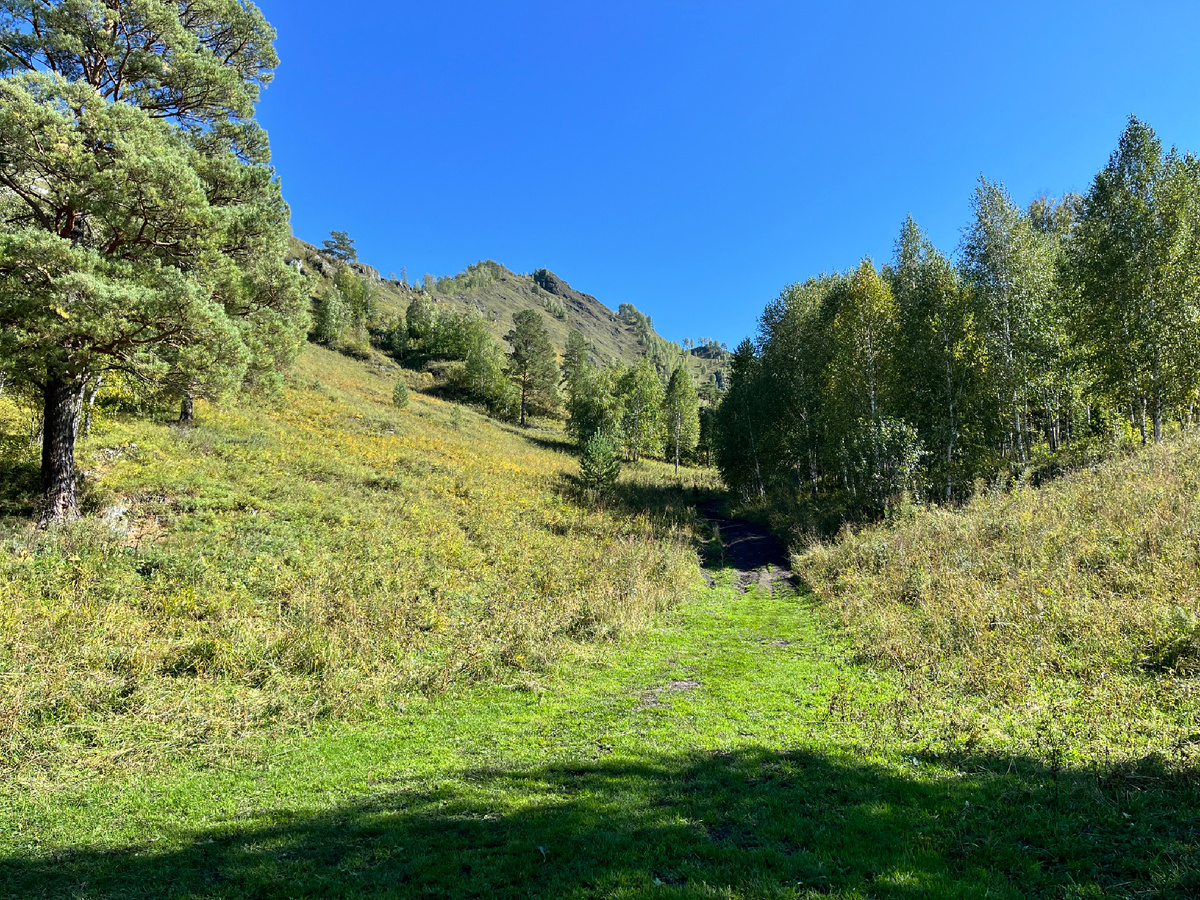 Начало тропы