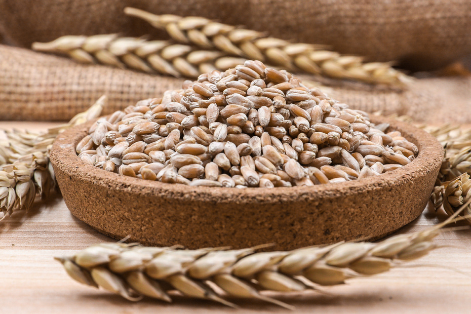    Сергей Булкин/NEWS.ru