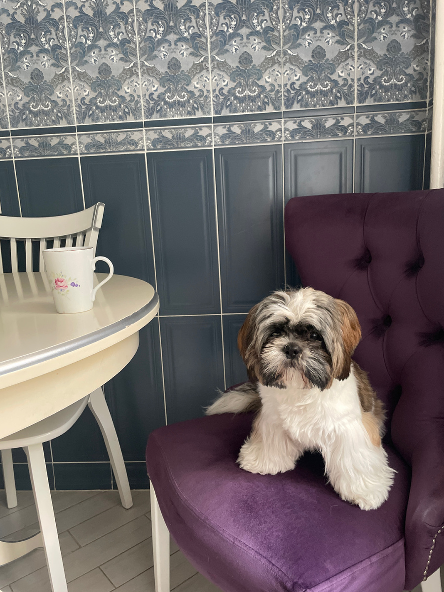 Я уже не тот, что раньше:)