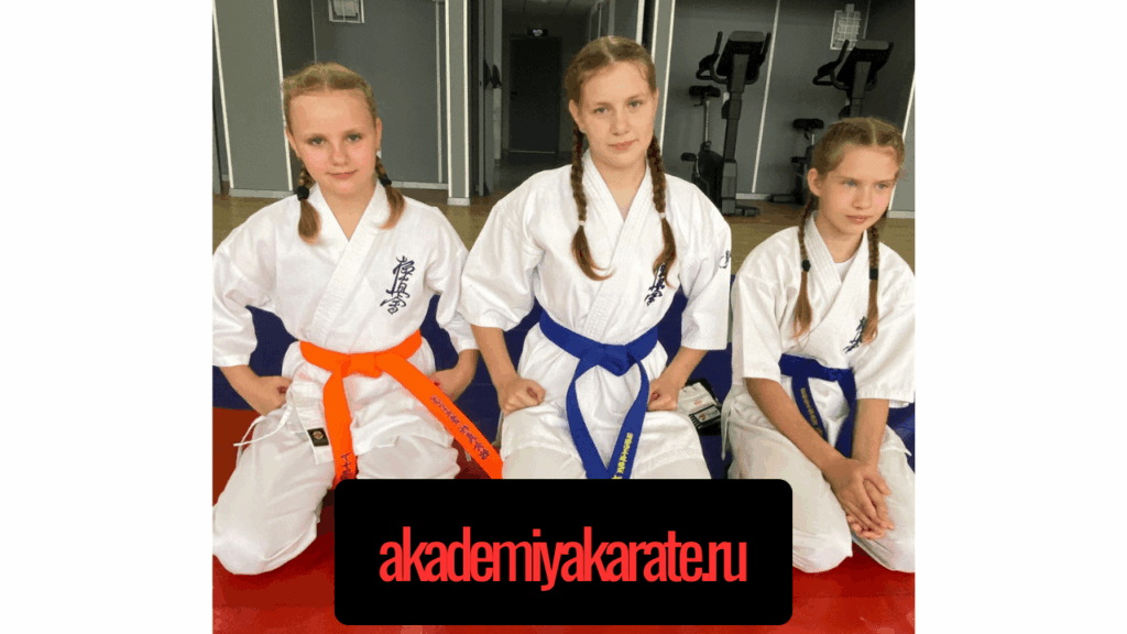 Академии каратэ