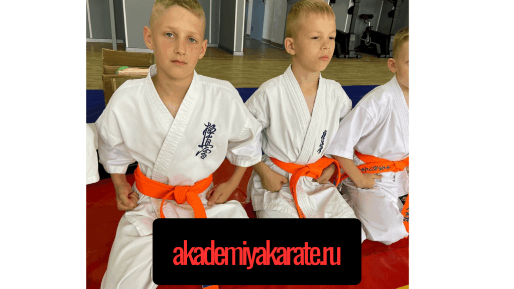 Академии каратэ