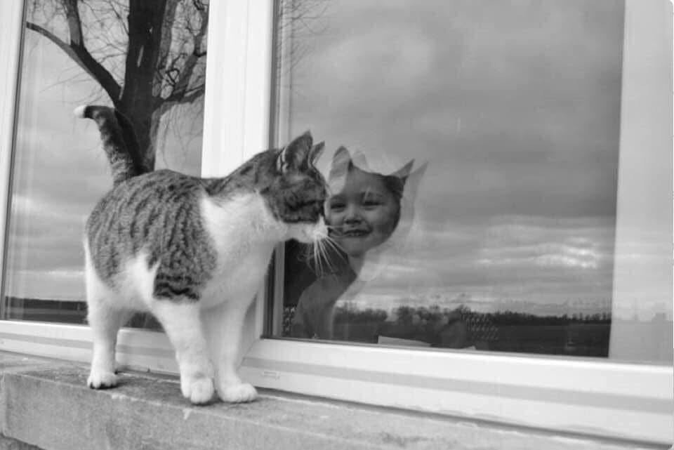 иллюстрация из яндекс картинки.