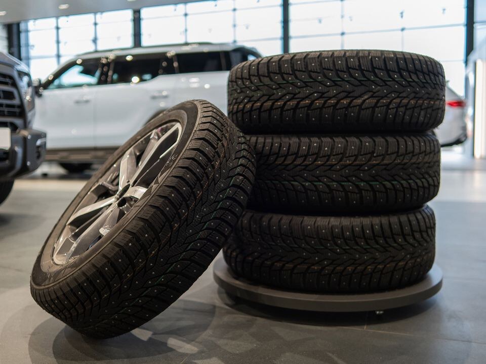     Фото: istockphoto.com/Anna Reshetnikova