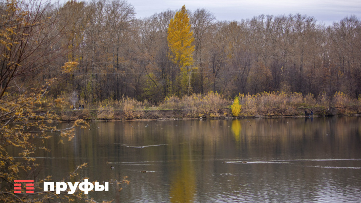    Фото: Пруфы