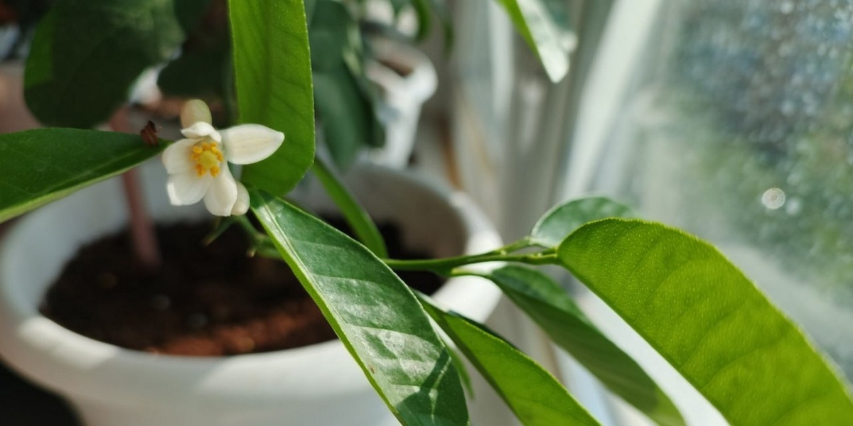 Фотография Анны Белик