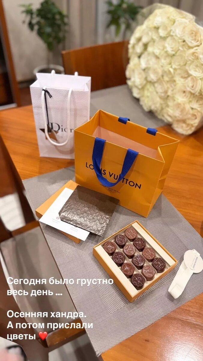    Новый дом Дибровой. Источник: Inst/polinadibrova *