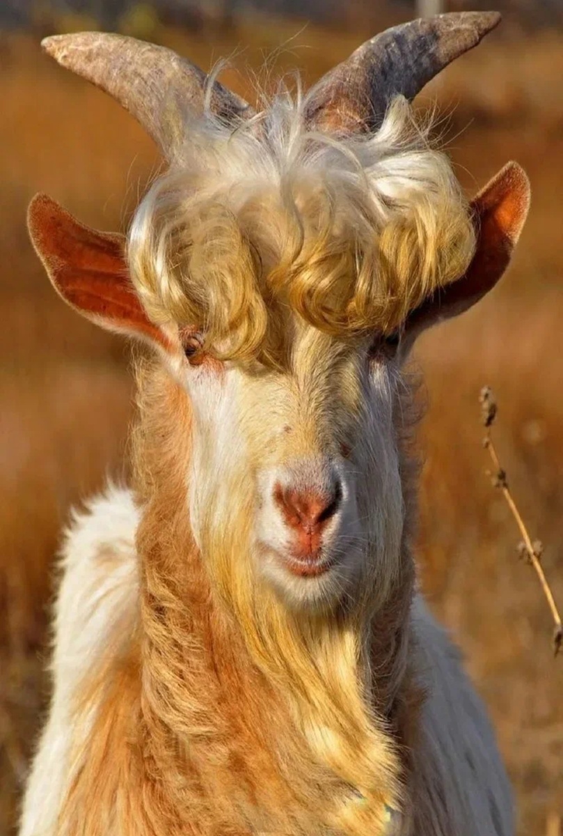 Из открытого источника.