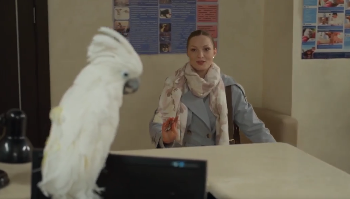 Кадр из сериала "Мои звери-2" (2025)