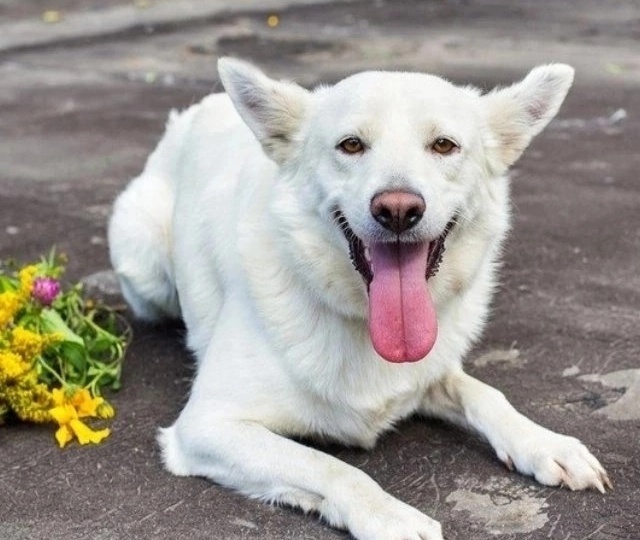 Десять лет в неволе...