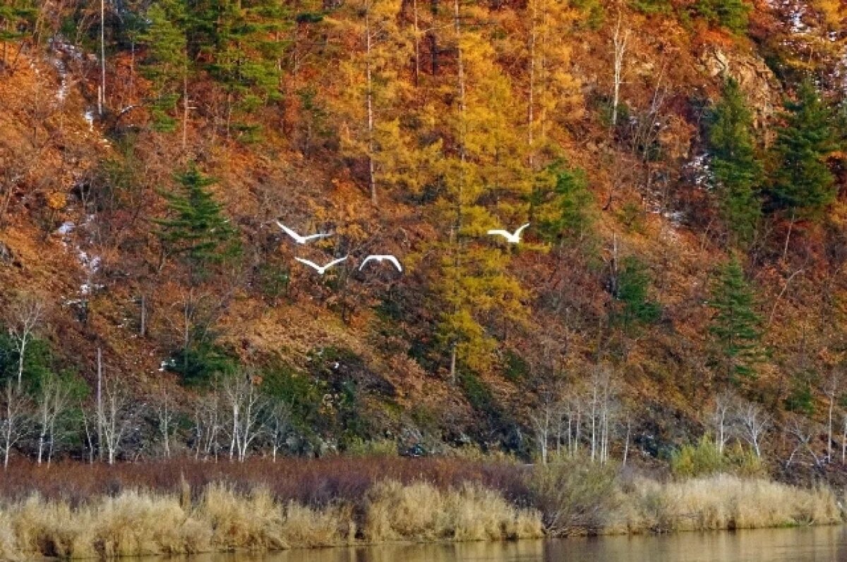    До +9 градусов прогнозируется в Псковской области 21 октября