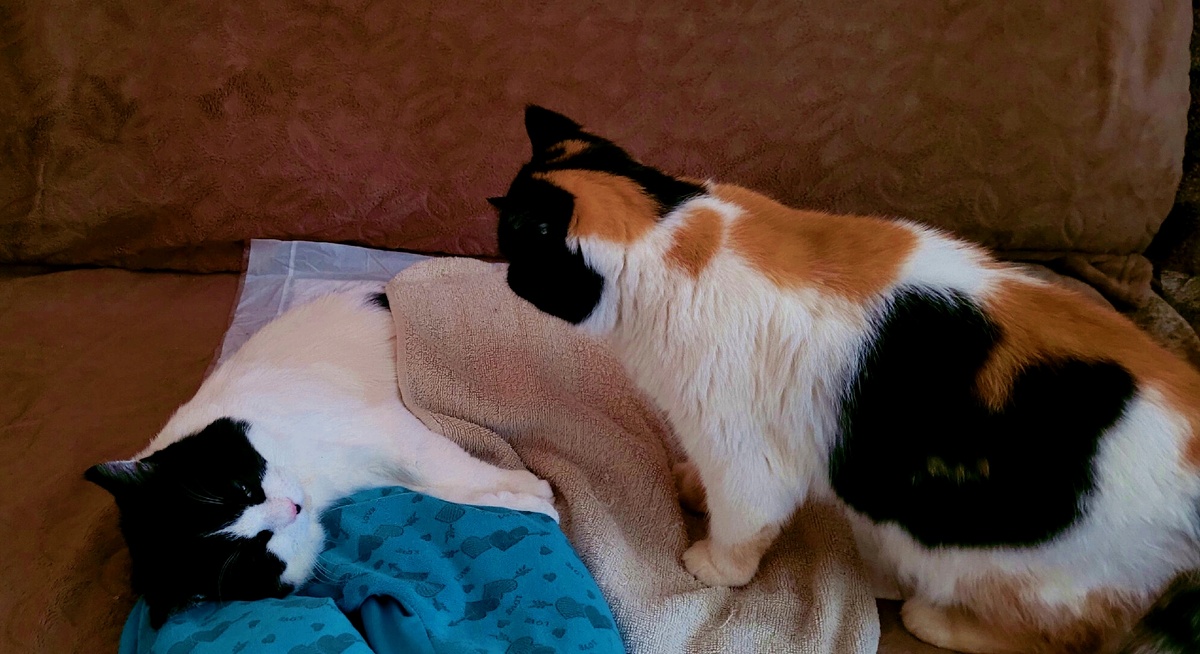 Мамочка, переживает за сыночка, отходящего от наркоза