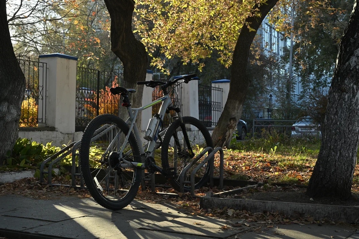    Фото: Анастасия Сибирякова