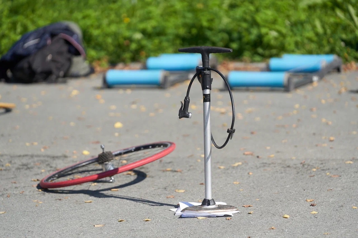    Фото: Лидия Аникина