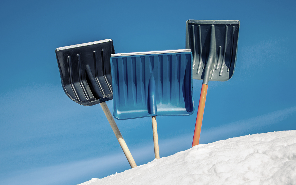 
Фото: SALNIKOV MIKHAIL / shutterstock.com