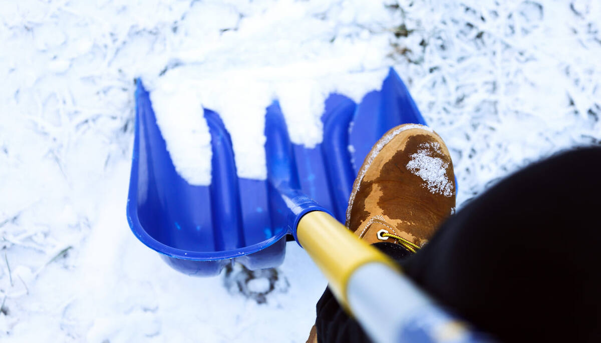 
Фото: freepik.com