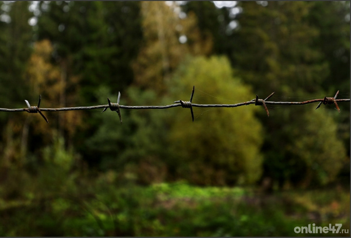 фото: Валентин Илюшин/Online47