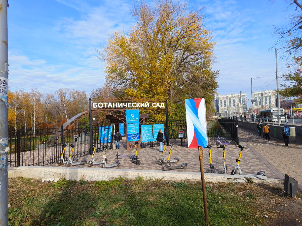 Ботанического сада Самарского университета им. Королёва.