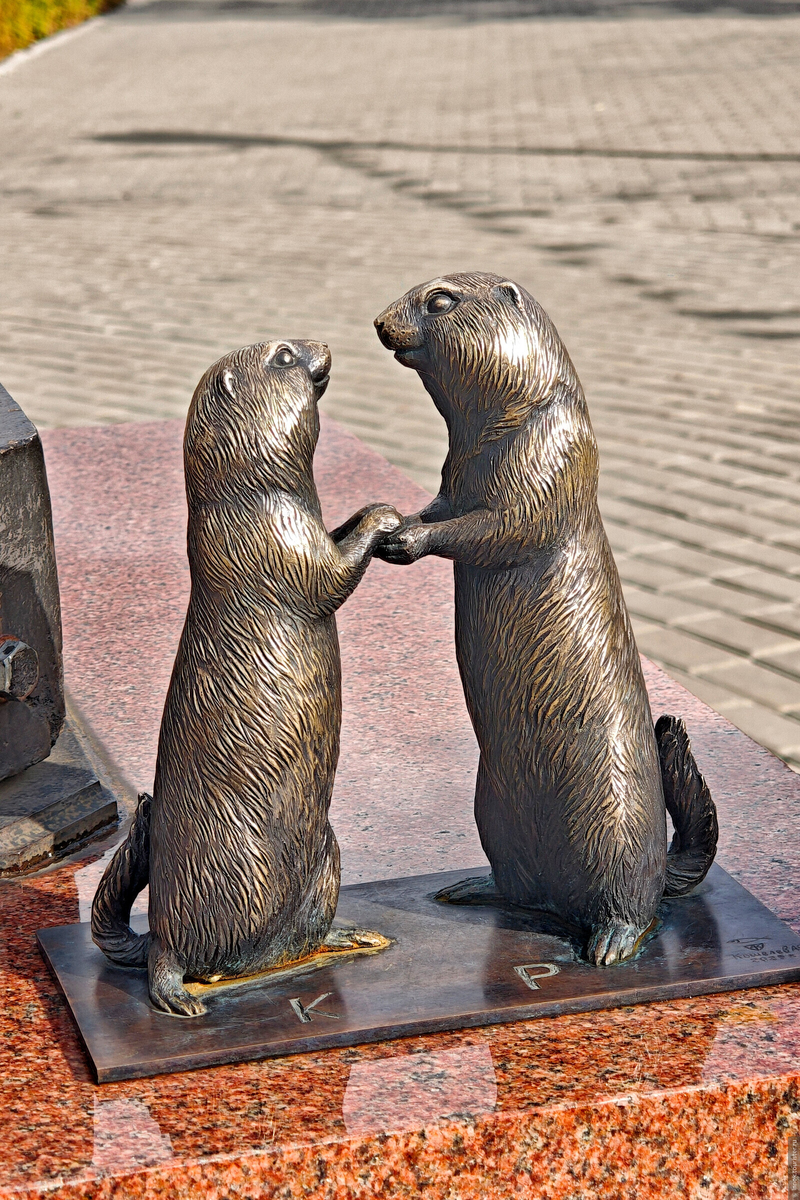 Суслики-молодожёны © Инна Зеленова