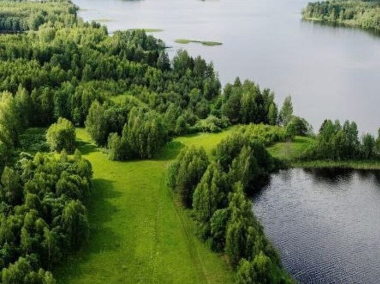     Рост туризма в округ связан с тем, что в внедрен новый муниципальный туристский стандарт. Фото: telegram-канал главы Валдайского муниципального округа Юрия Стадэ