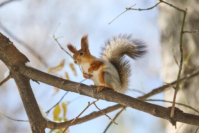 Вымерзнуть должно всё живое. Источник:Александр Ощепков / NGS