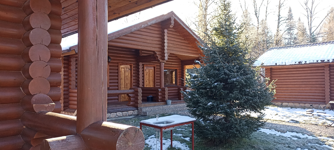 Ближе, чем до Чемала. Отдохнула в тайге в комфортных условиях на базе "Каракокша - место на Алтае"