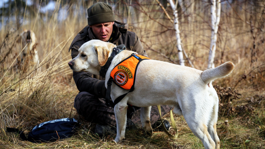    Фото: © РИА Новости/Кирилл Шипицин