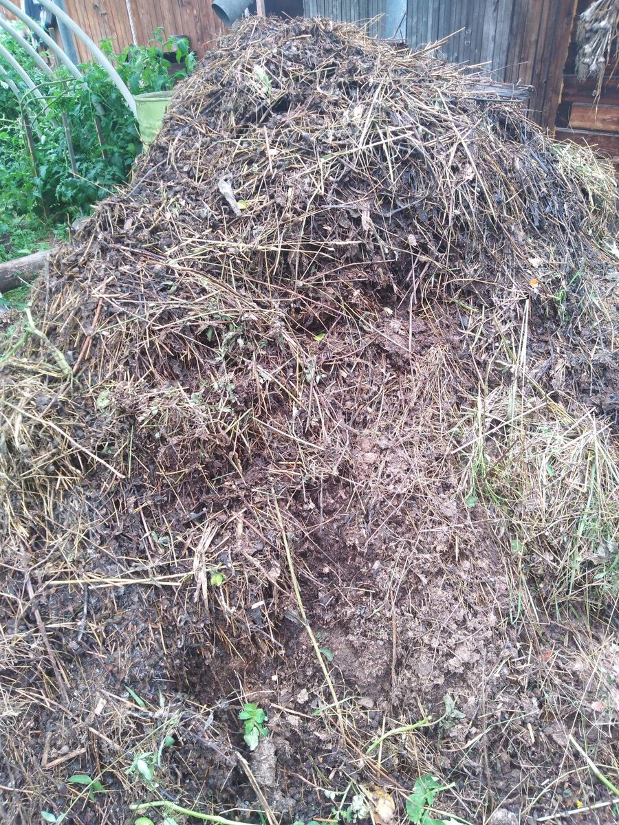 Отходы в доходы