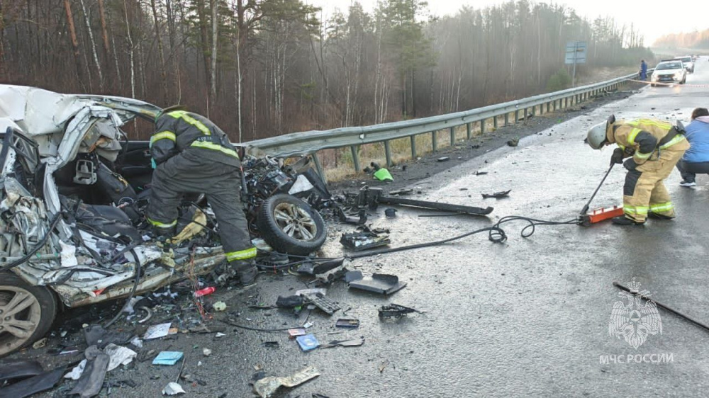     Фото: МЧС Челябинской области