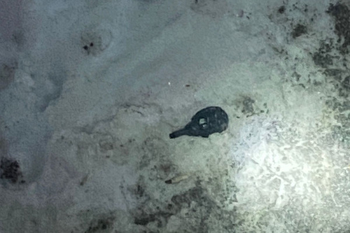    Фото: АБ "Гвардия"