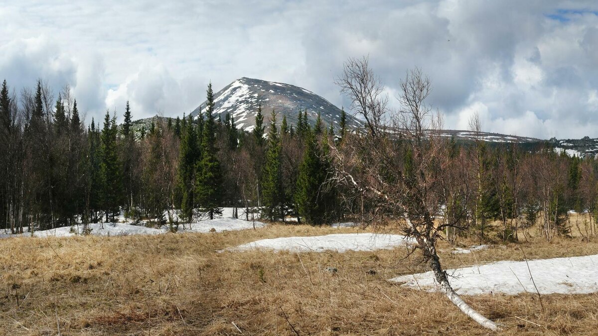 Фото: globallookpress.com/Sergey Malkov