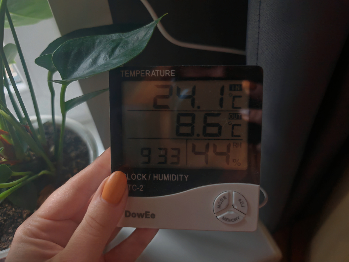 В этом году свой день синички будут праздновать самостоятельно.