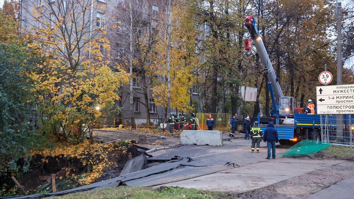    Фото: пресс-служба губернатора Санкт-Петербурга