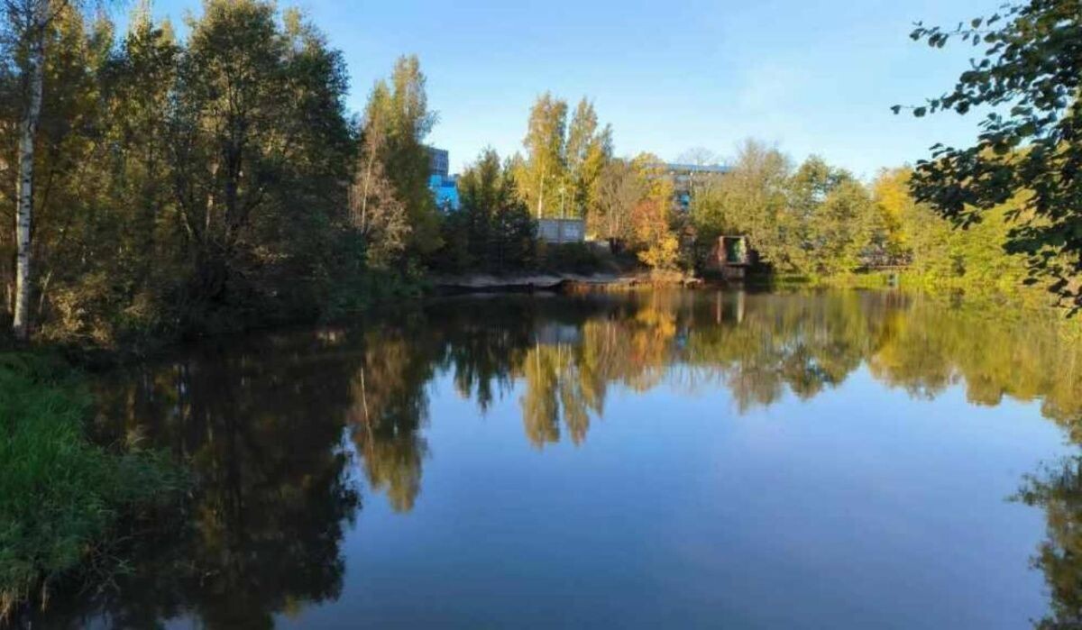     Осень в Питере. Источник: 78.ru Автор фото: Maksim Konstantinov