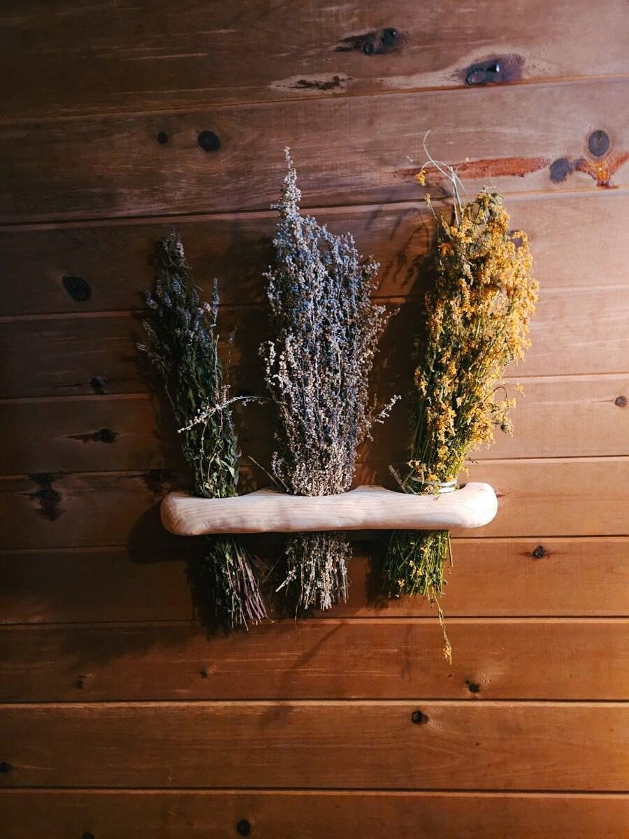 Сбор трав в лесу возле глэмпинга Под кронами в Подмосковье