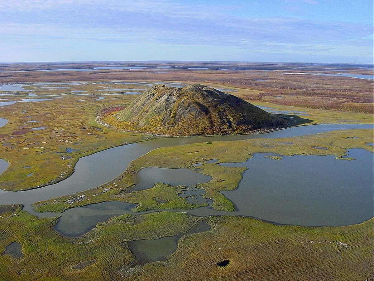 Реальный бугор в тундре
