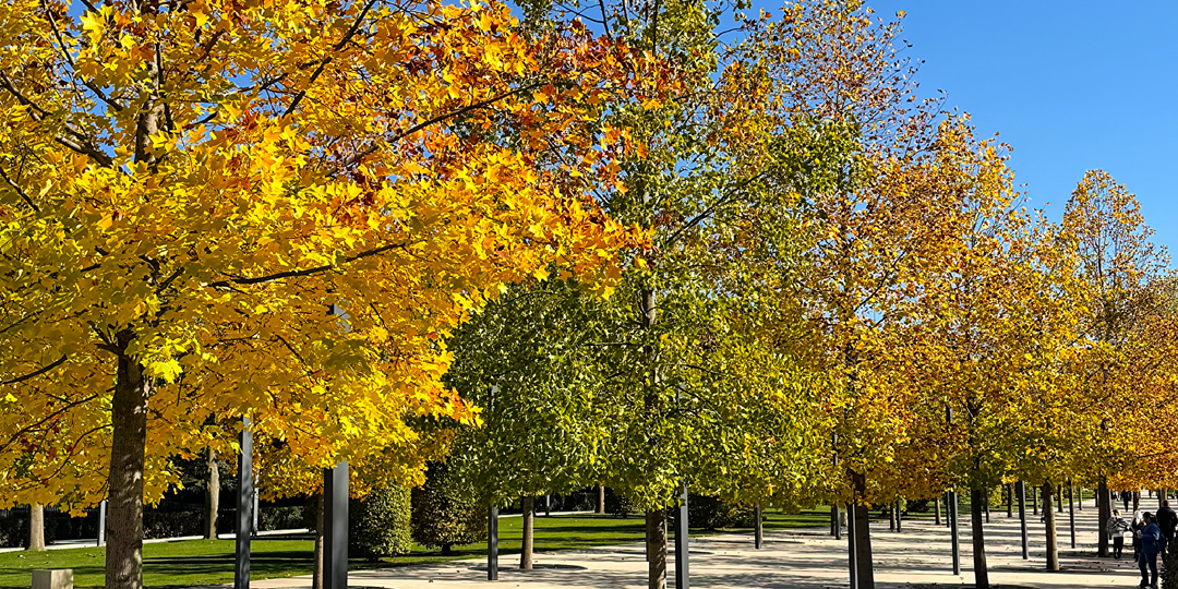 Октябрь в Парке Галицкого 🍁