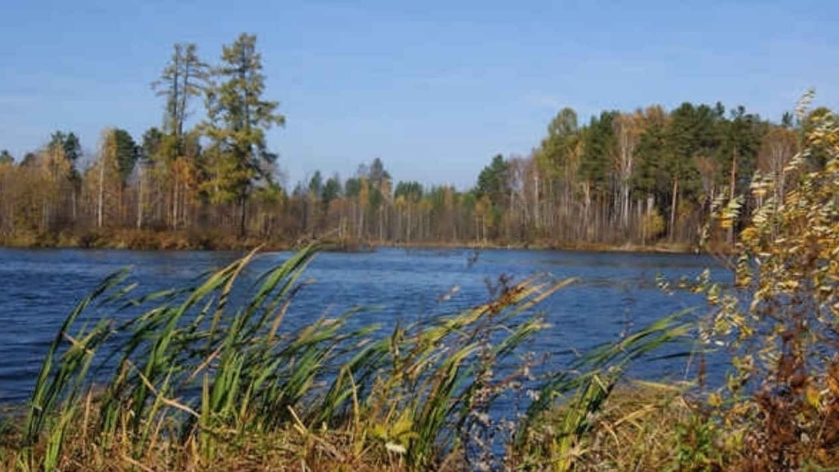    Евгений Ставцев