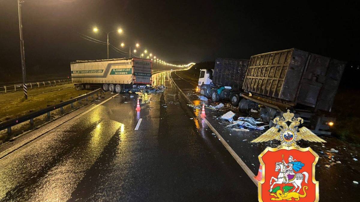    Фото: Пресс-служба ГУ МВД России по Московской области / Telegram