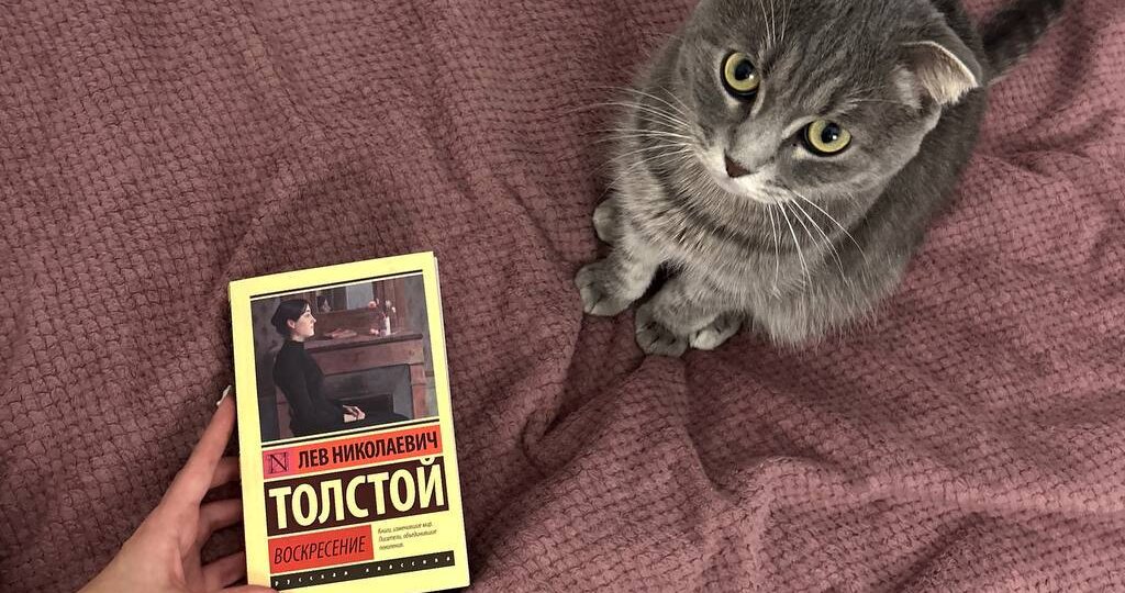 5 мифов о ЕГЭ по литературе, в которые до сих пор верят школьники