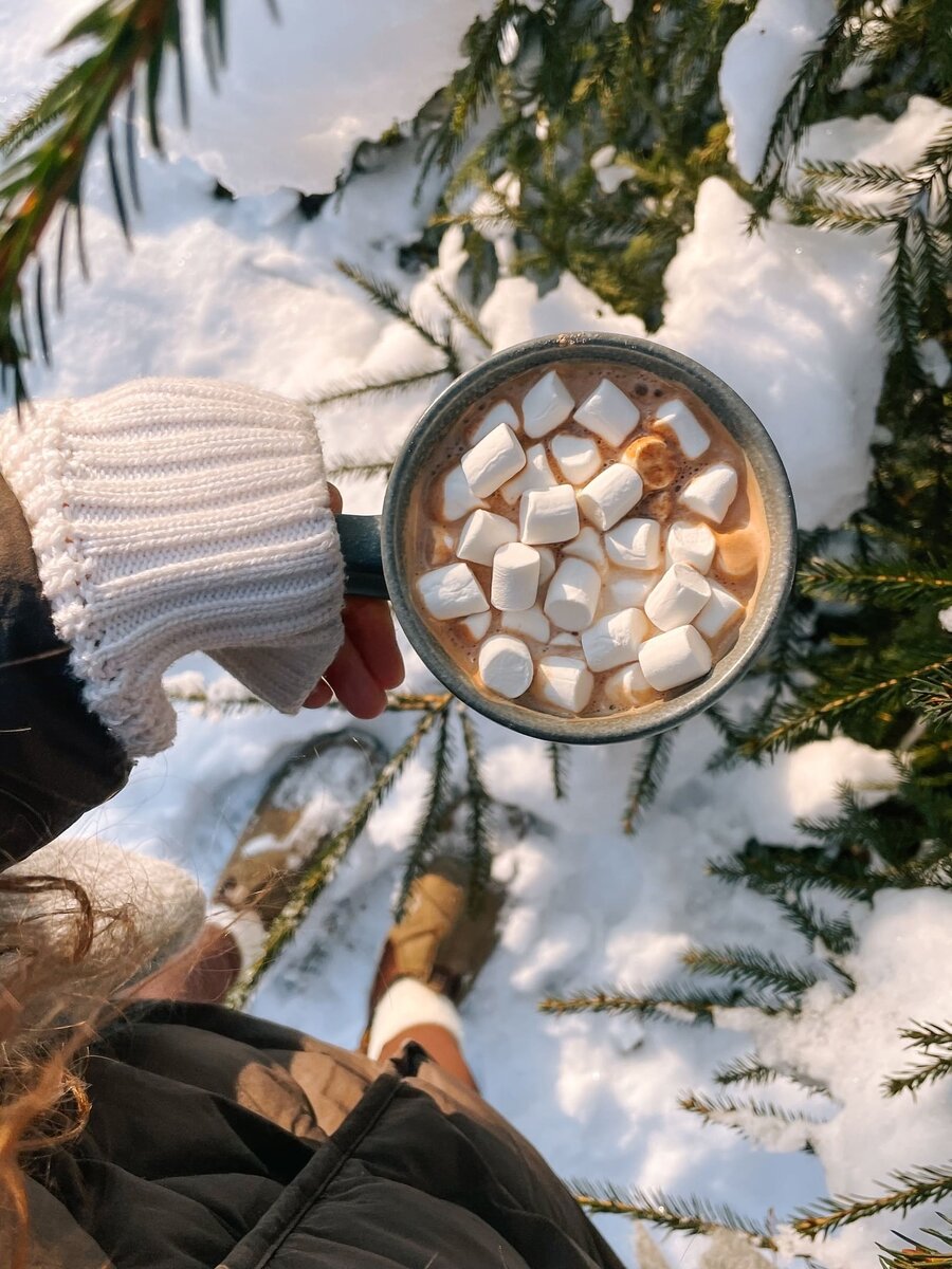 Место для съёмок на природе в лесу недалеко от Москвы