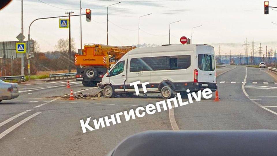    Фото: t.me/kingisepp_livee