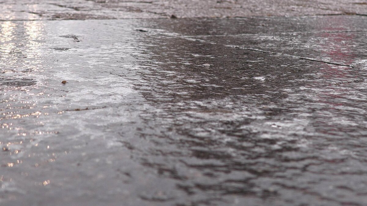    Фото: IMAGO/Bernd MŠrz/globallookpress.com