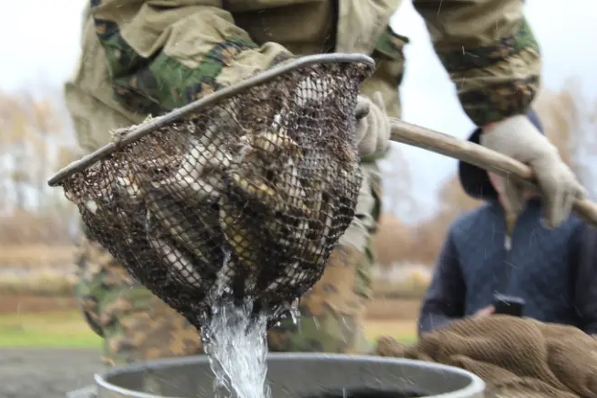    Фото: Известия Мордовия, источник: izvmor.ru